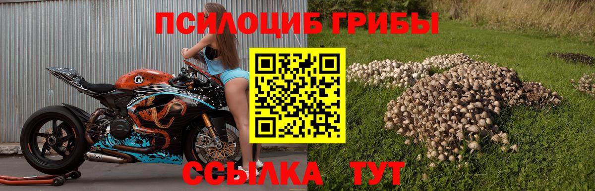 Галлюциногенные грибы Magic Shrooms Шумерля